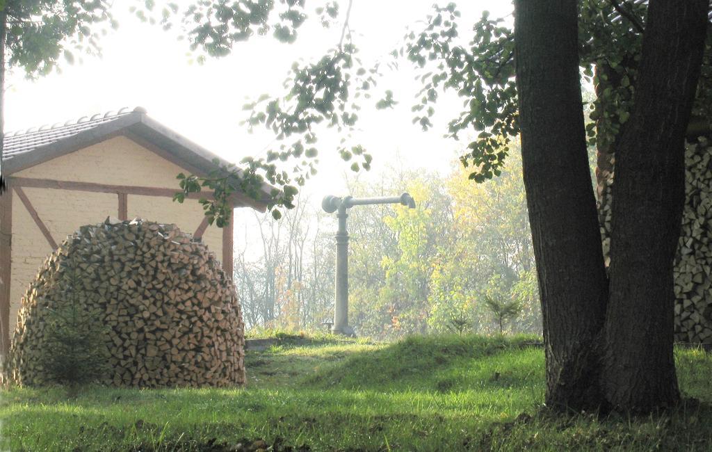 Apartamenty Carskie Białowieża Exterior foto